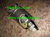 Фильтр топливный в сборе для двигателей Komatsu 4D92E/ 4D94E/ 4D94LE #3