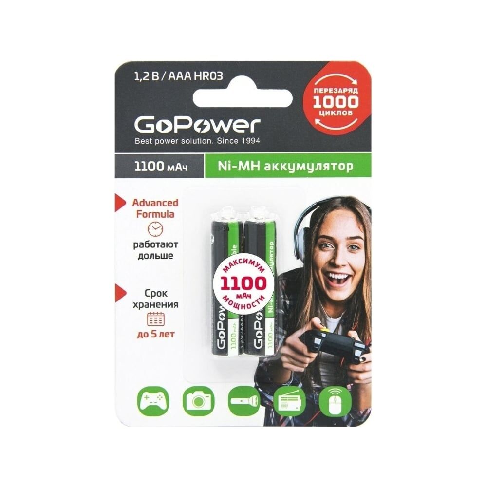 Бытовой аккумулятор GoPower HR03