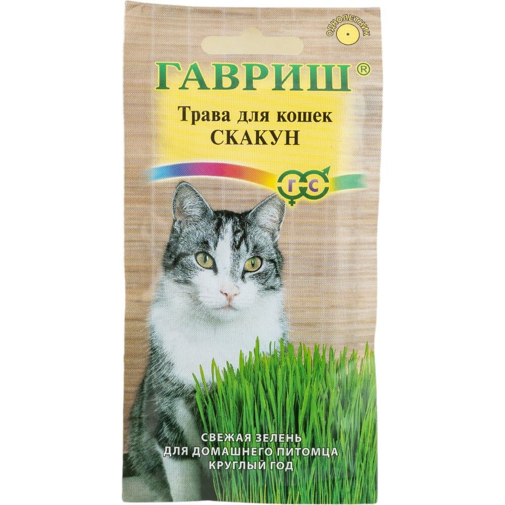 Семена ГАВРИШ Трава для кошек Скакун