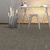 Standard Carpets Mars 546 #1