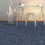 Standard Carpets Mars 555 #4