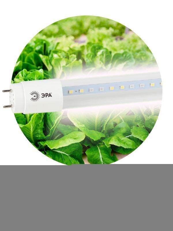 Лампа светодиодная FITO-9W-Ra90-Т8-G13-NL 9Вт T8 линейная 46LED 2835 IP20 35000ч для растений полноспектральная стекло Э