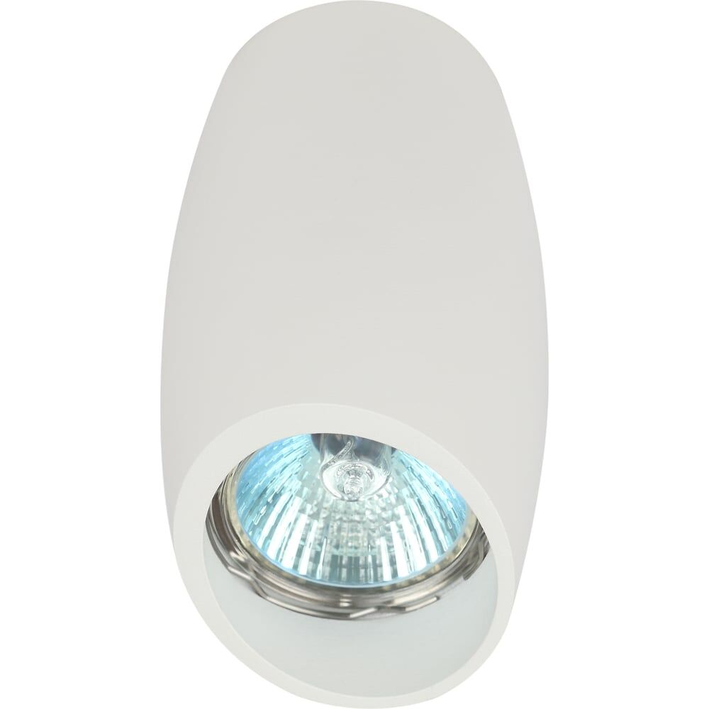 Настенно-потолочный светильник ЭРА Б0054390