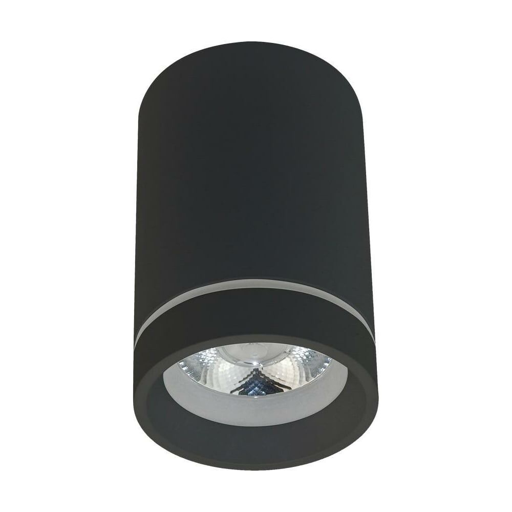 Потолочный светильник Aployt APL.0053.19.10