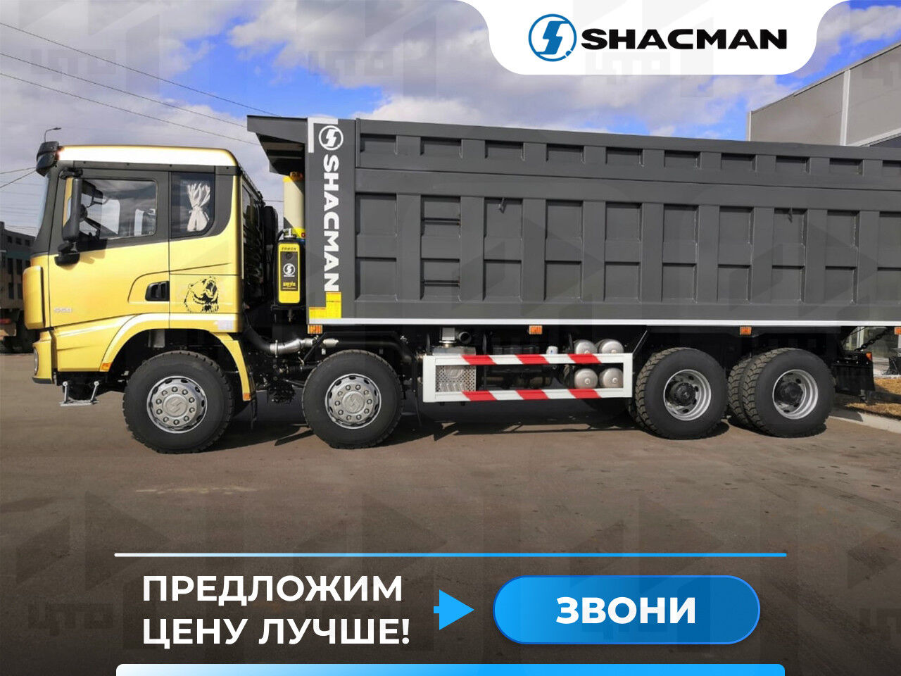 Самосвал Shacman SX331863366 8x4 550 л.с. gold Shacman (Shaanxi) 2