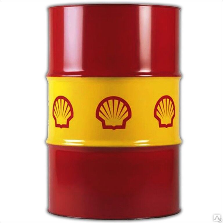 Shell mysella s5